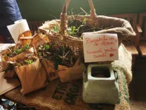Korb mit Pflanzen und Papieren neben einer alten Waage auf einem Tisch mit Jutesack.