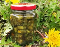 A jar of dandelion capers next to a dandelion plant in bloom.