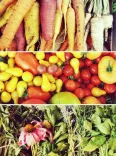 Friss zöldségek és fűszernövények változatos termése, többek között sárgarépa, paradicsom, paprika és zöld levelek, egymásra rakott sorokban.